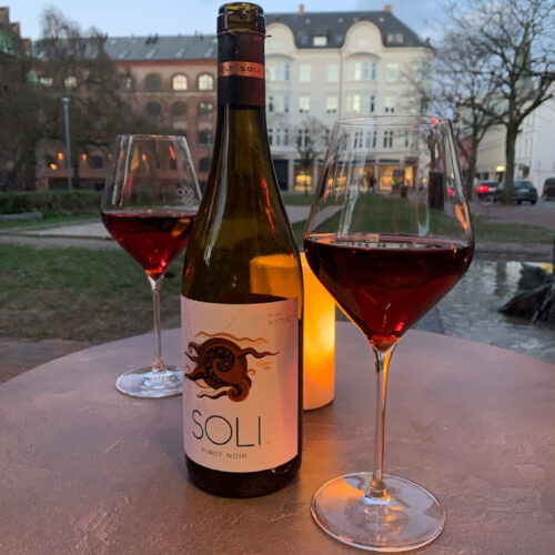 Pinot Wine Bar - Århus