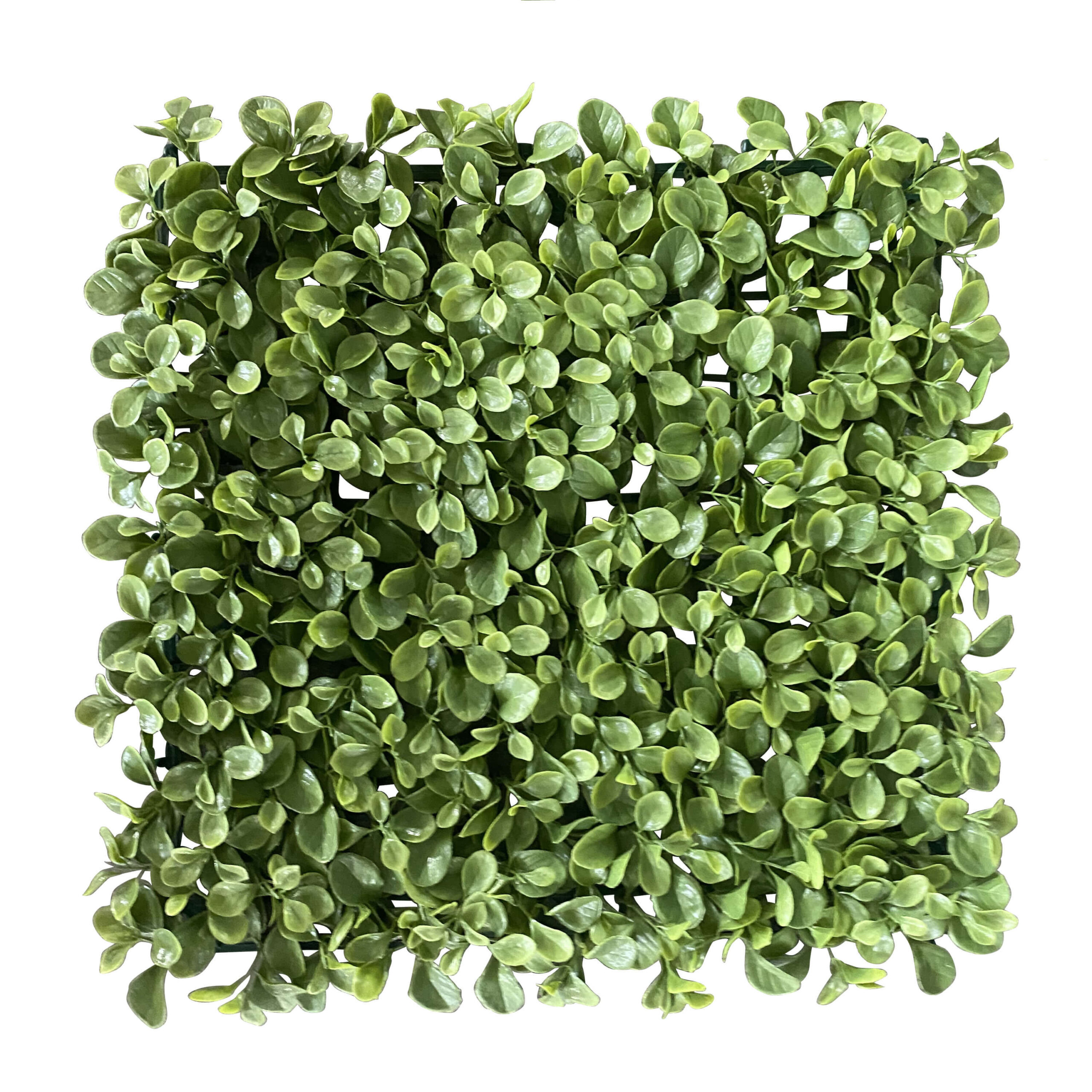 Jade Leaf - kunstig plante plade 50x50