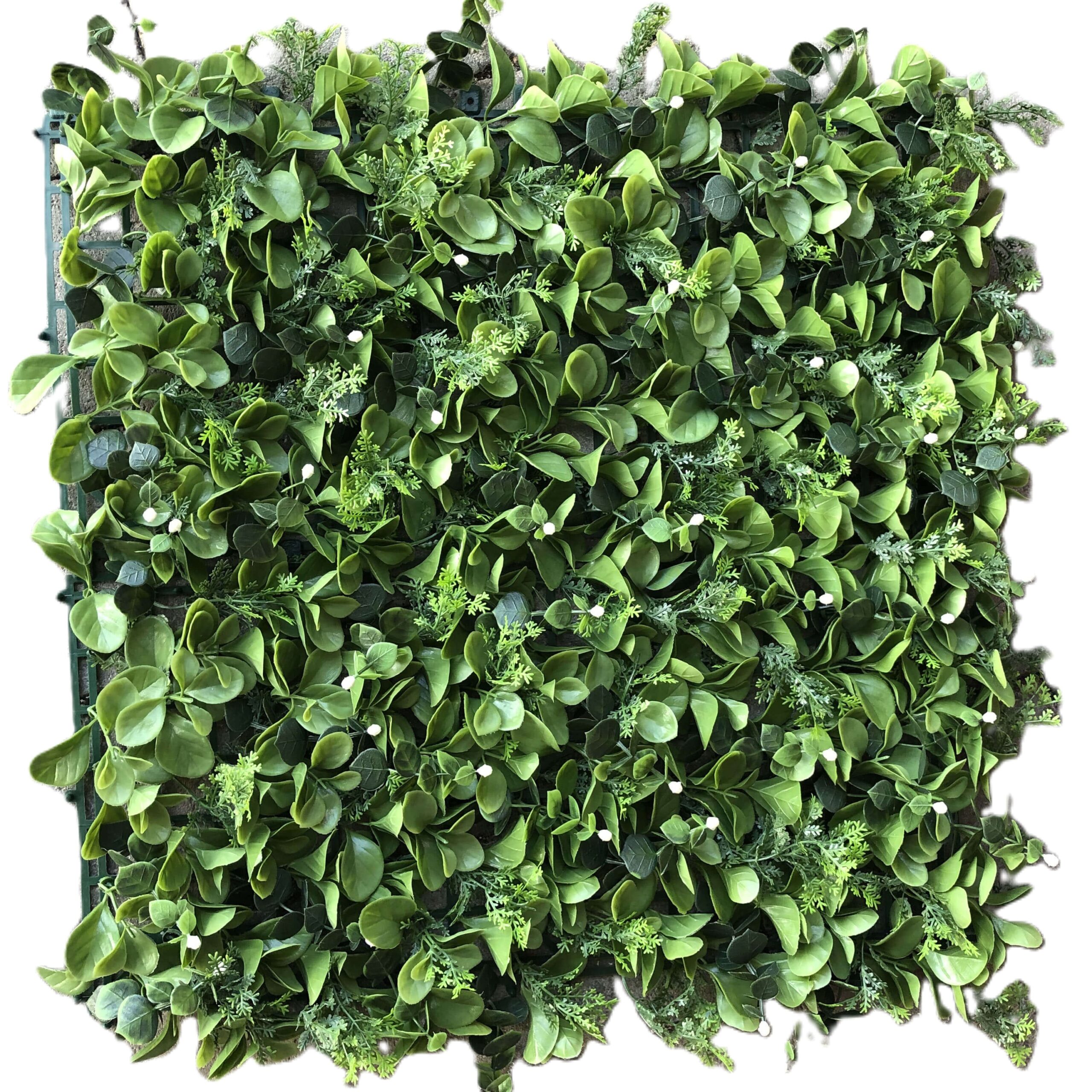 Grøn mix hvide bær unstig plante plade 50x50