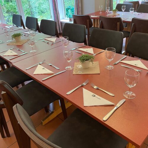 Briksdalsbre Fjellstove - Norge