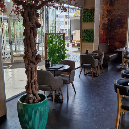 Cafe Noah – Frederikssund